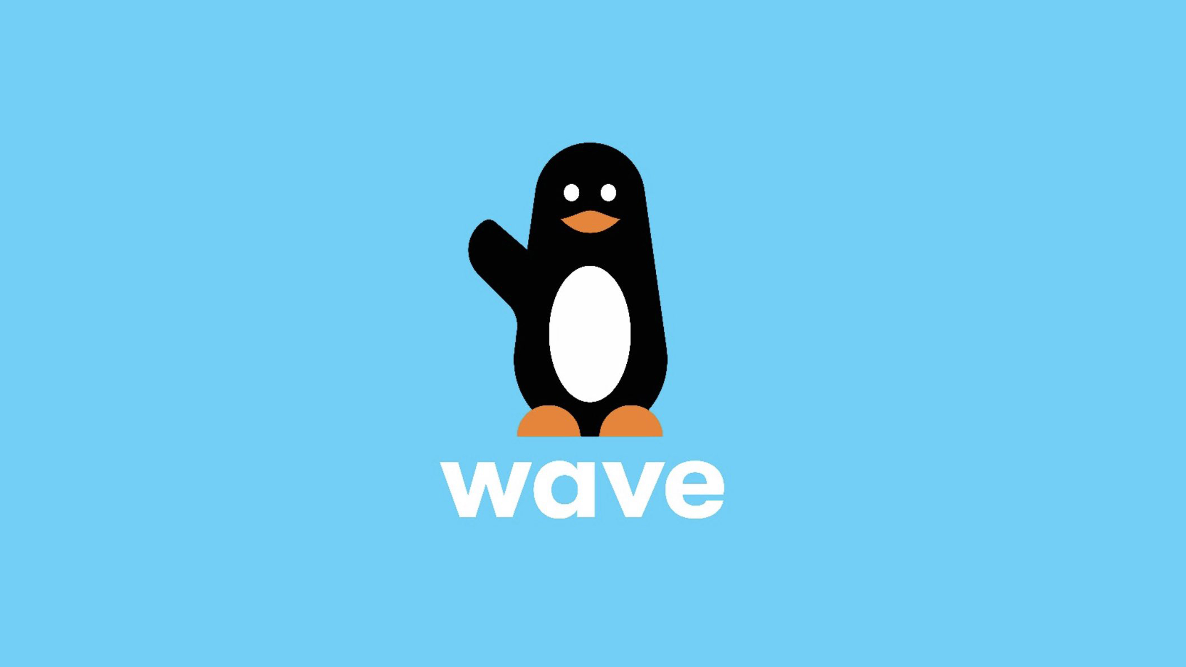 Wave Money